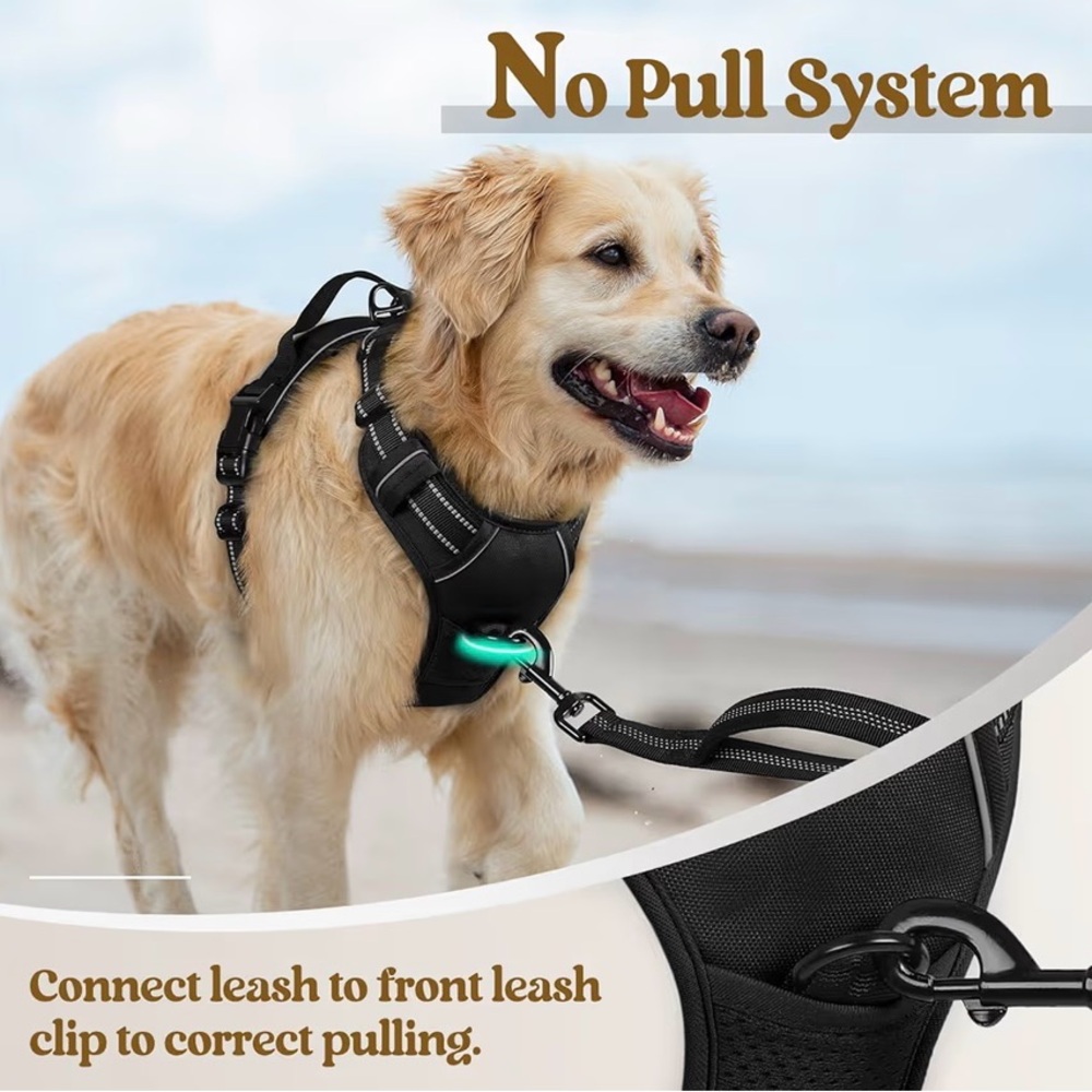 Black RabbitGoo Dog Harness - Picture 5 of 9